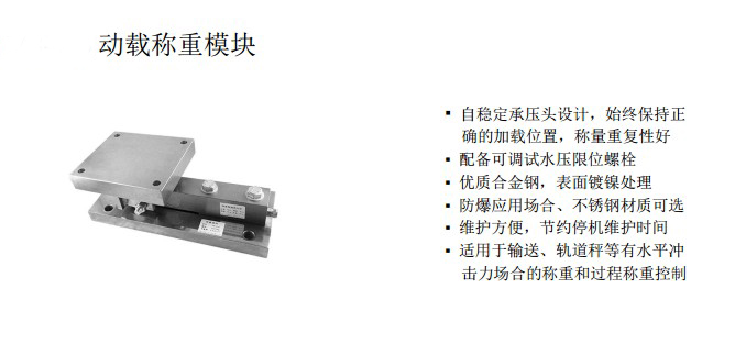輸送帶用動(dòng)載稱重模塊